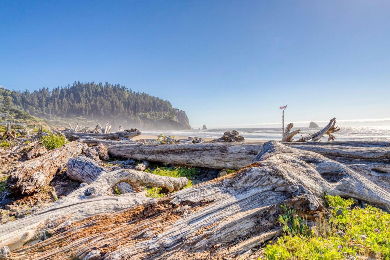 Cape Meares Overlook Buitenkant foto